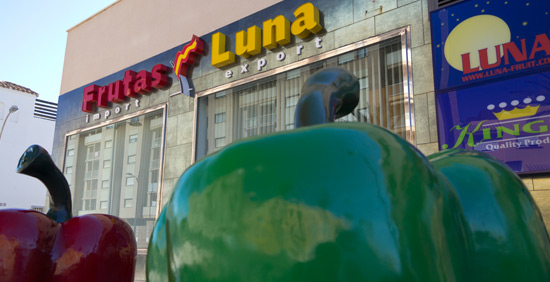 Frutas Luna 